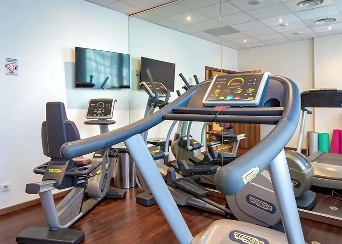 Novotel Centre - Grandes & Confort Centre-ville فندق بيربينيو